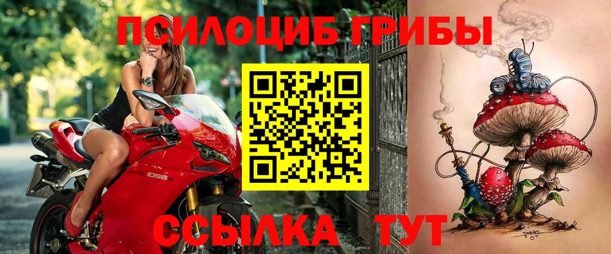 Псилоцибиновые грибы Cubensis Долгопрудный