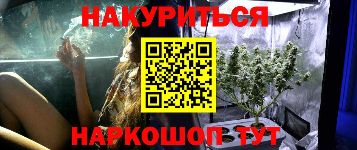 Долгопрудный  Марихуана план  Бошки марихуана OG Kush  Канабис OG Kush  Вход с VPN 
